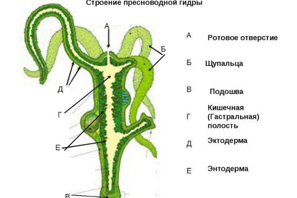 Актуальный домен кракена