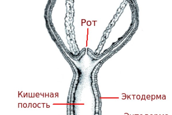 Кракен сайт это